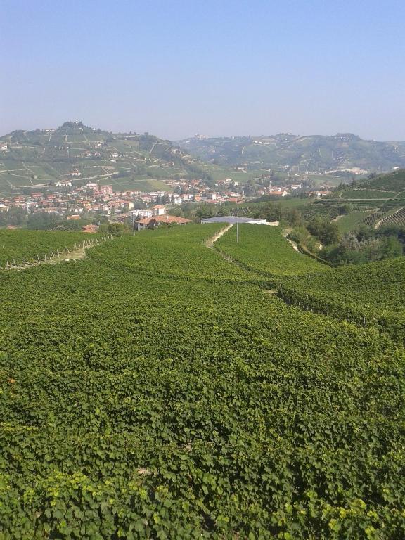 Agriturismo Ai Piacentini Santo Stefano Belbo Luaran gambar